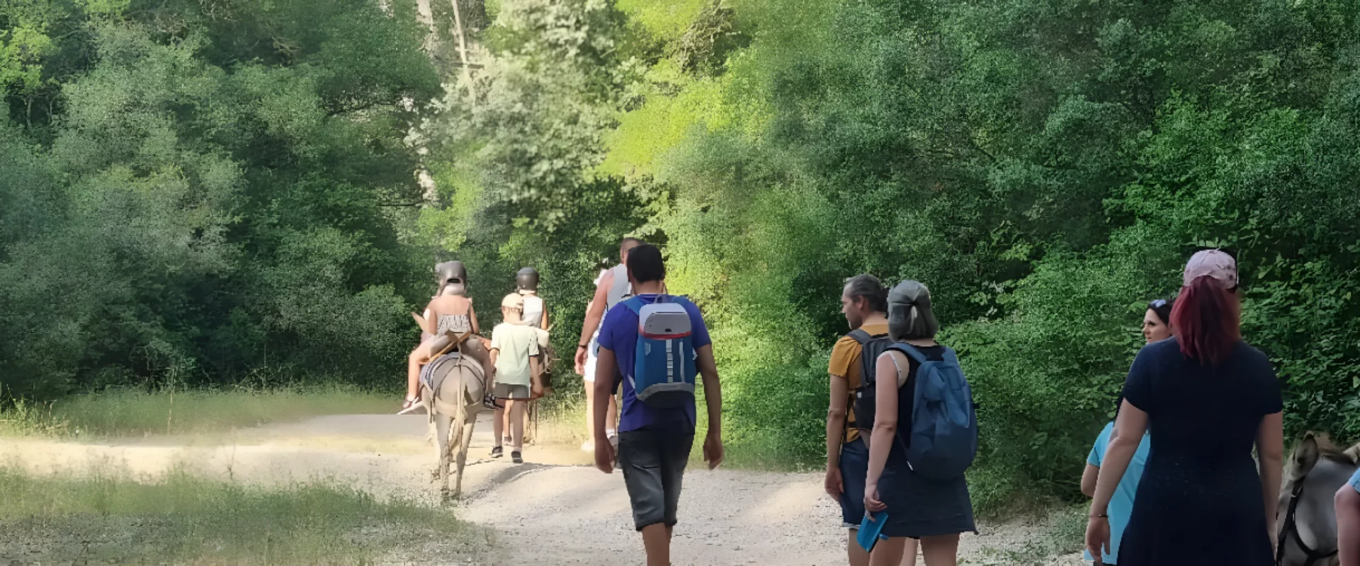 Visite de Ferme Pédagogique à Marseille - ASINERIE DU POLJÉ