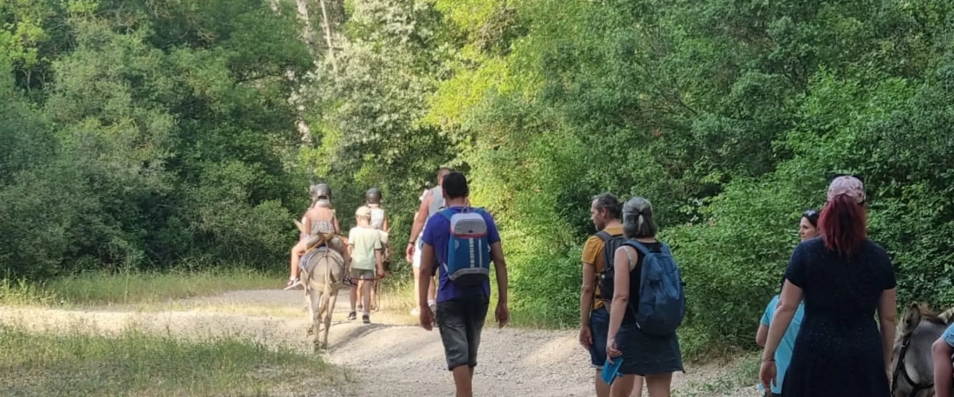 Visite ferme pédagogique à Auriol - ASINERIE DU POLJÉ
